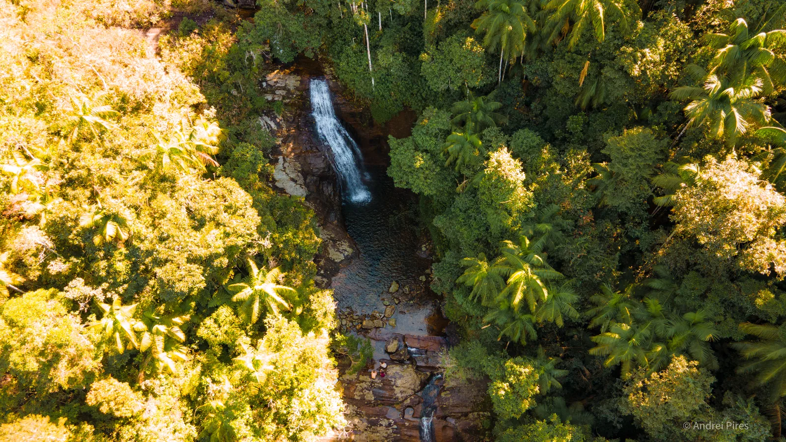 Vista aérea da cachoeira e do poço, cercados pela mata atlântica densa e por palmeiras