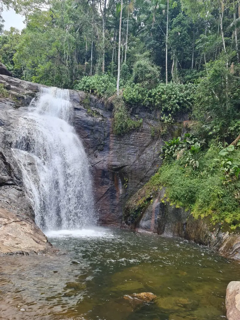 Queda d'água volumosa da Cachoeira da Purificação cercada de mata