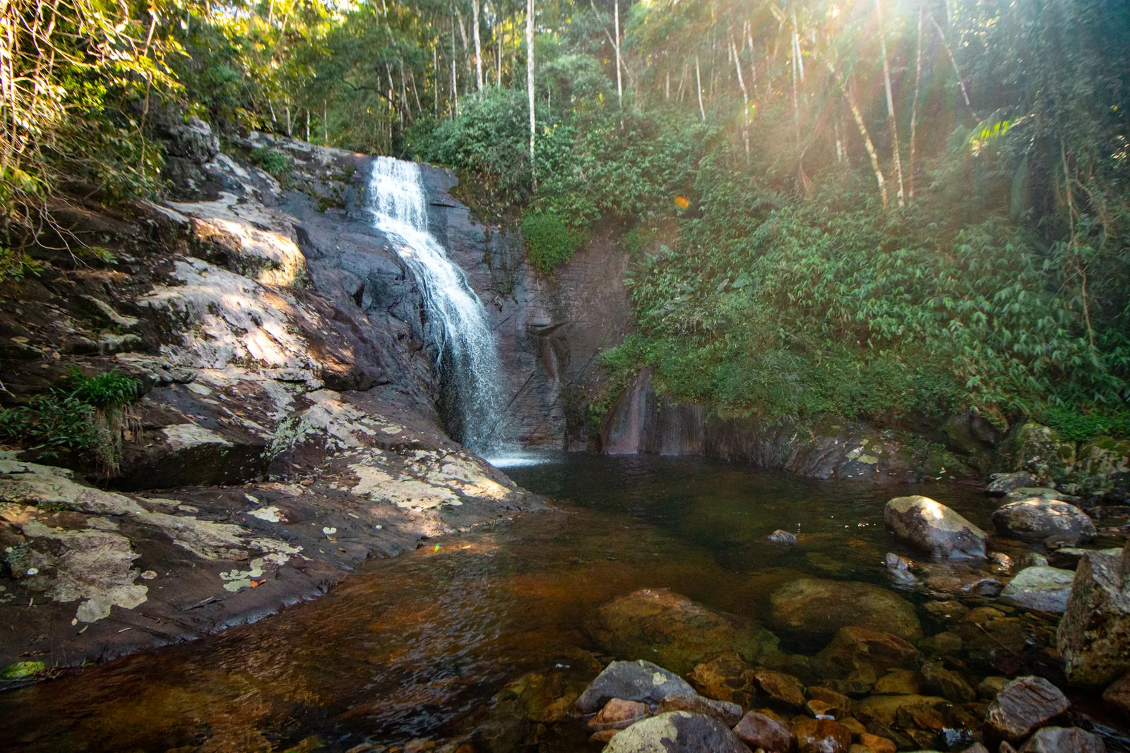Cachoeira caindo sobre paredão de pedra em meio à mata, formando um poço de águas cristalinas